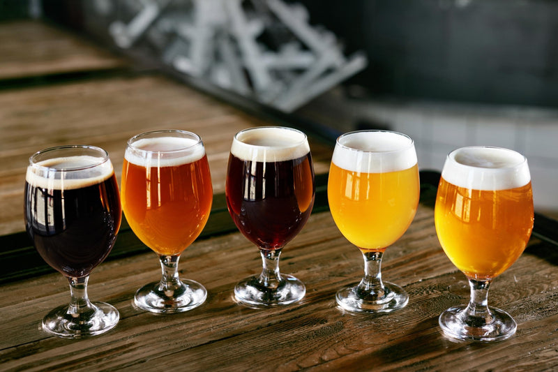 ¿Cuáles son las principales Escuelas Cerveceras? - Beer Sapiens
