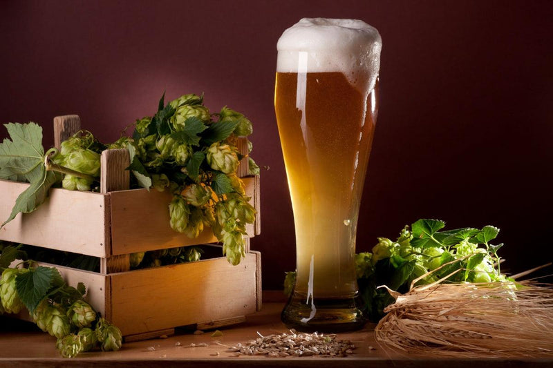 ¿Qué es el IBU de una cerveza? - Beer Sapiens