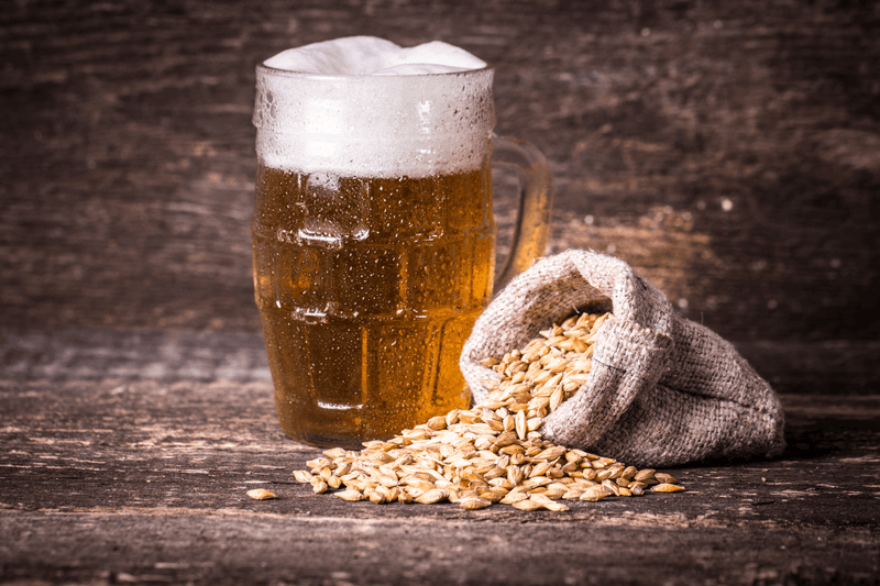 ¿Qué es la malta de la cerveza? - Beer Sapiens
