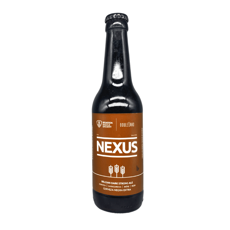 Bidassoa Nexus Belgian Strong Dark Ale 33cl - Beer Sapiens